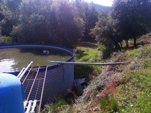 Tank for rain water collection