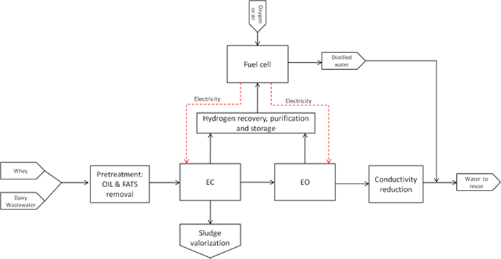 REWAGEN Process Diagram